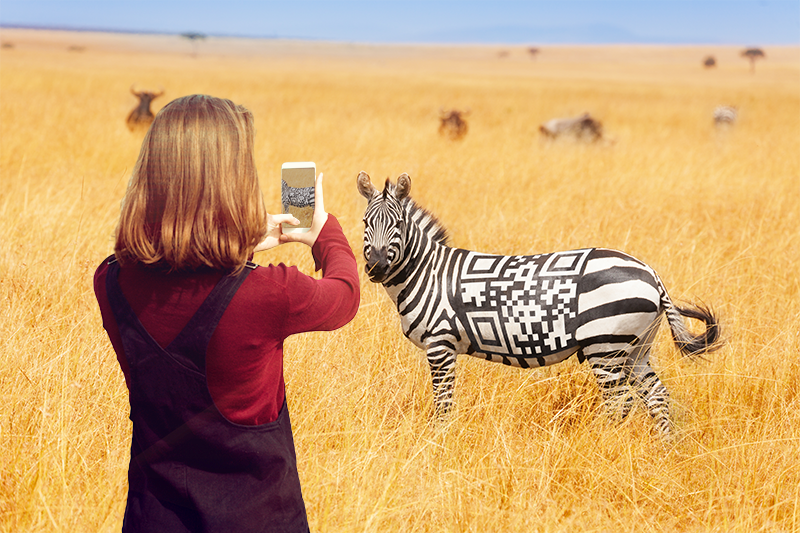 Zebra QR Code