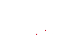 Chubb-APi Logo-2