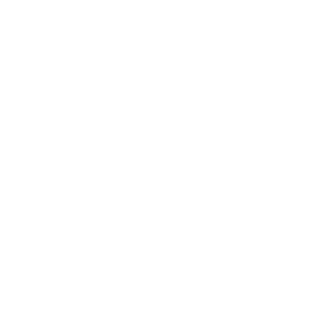 Veeam-White-Logo-V3