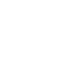 webhelp-white-logo