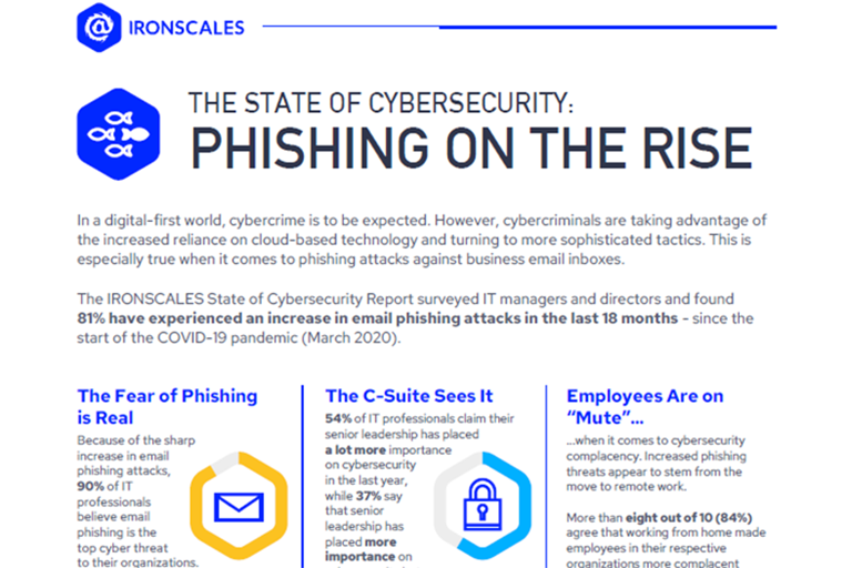 State of cybersecurity Phishing on the Rise 768x512