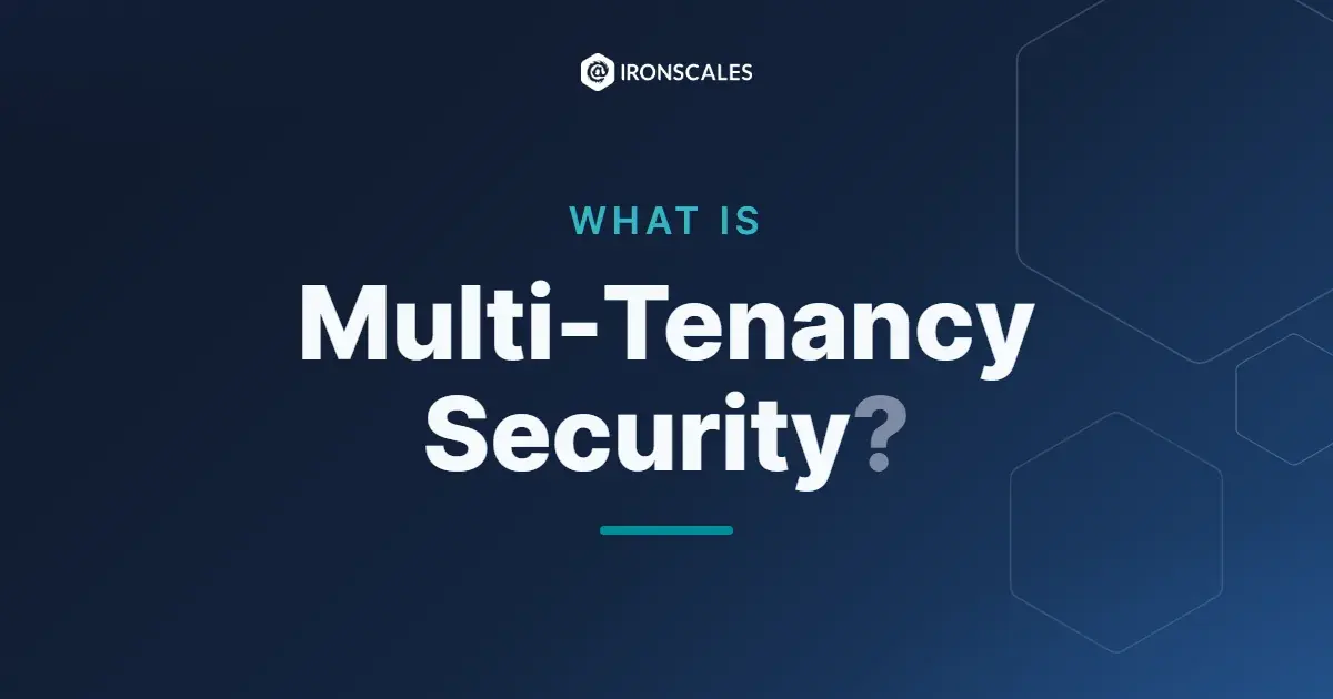 What is Multi-Tenancy Security?